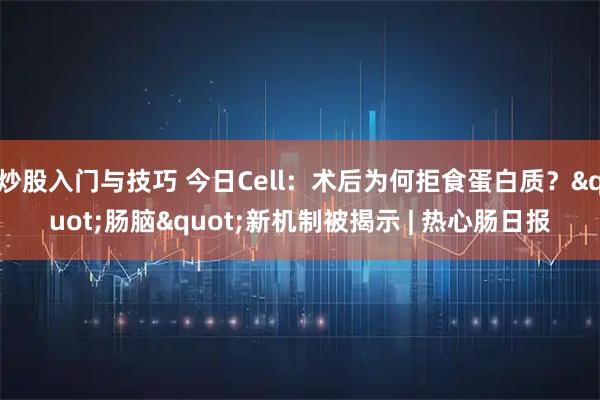 炒股入门与技巧 今日Cell：术后为何拒食蛋白质？&quot;肠脑&quot;新机制被揭示 | 热心肠日报