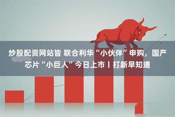 炒股配资网站皆 联合利华“小伙伴”申购,国产芯片“小巨人”今日上市丨打新早知道