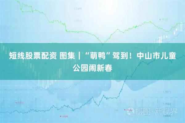 短线股票配资 图集｜“萌鸭”驾到！中山市儿童公园闹新春