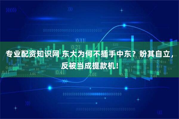 专业配资知识网 东大为何不插手中东？盼其自立，反被当成提款机！